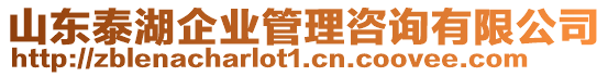 山東泰湖企業(yè)管理咨詢有限公司