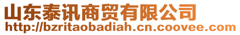 山東泰訊商貿(mào)有限公司