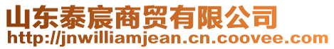 山東泰宸商貿(mào)有限公司