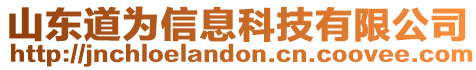 山東道為信息科技有限公司