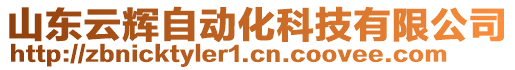 山東云輝自動化科技有限公司