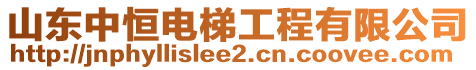 山東中恒電梯工程有限公司