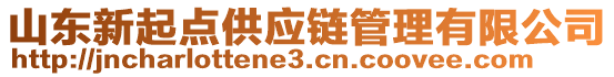 山东新起点供应链管理有限公司