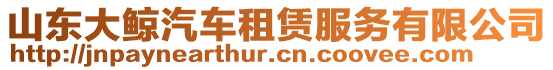 山東大鯨汽車租賃服務(wù)有限公司