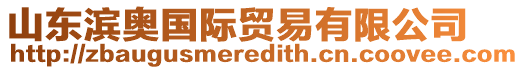 山東濱奧國(guó)際貿(mào)易有限公司