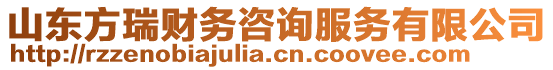 山东方瑞财务咨询服务有限公司