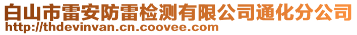 白山市雷安防雷檢測(cè)有限公司通化分公司