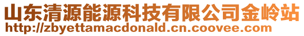 山東清源能源科技有限公司金嶺站