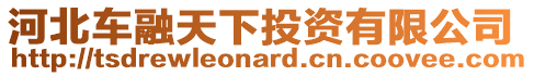 河北車融天下投資有限公司