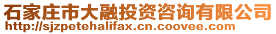 石家莊市大融投資咨詢有限公司