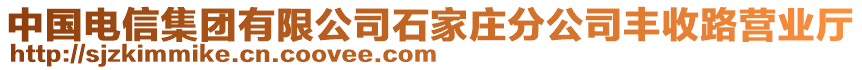 中國電信集團有限公司石家莊分公司豐收路營業(yè)廳