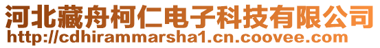 河北藏舟柯仁電子科技有限公司