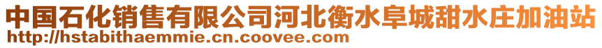 中國(guó)石化銷售有限公司河北衡水阜城甜水莊加油站