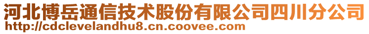 河北博岳通信技術股份有限公司四川分公司