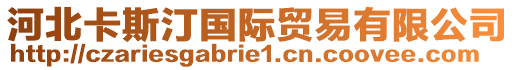 河北卡斯汀国际贸易有限公司