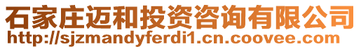 石家莊邁和投資咨詢有限公司