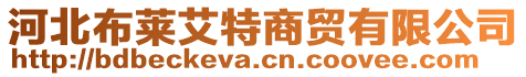 河北布萊艾特商貿(mào)有限公司