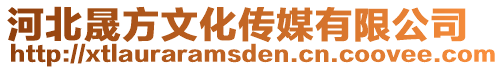 河北晟方文化傳媒有限公司
