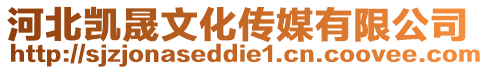 河北凱晟文化傳媒有限公司