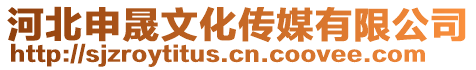 河北申晟文化传媒有限公司