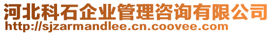 河北科石企業(yè)管理咨詢有限公司