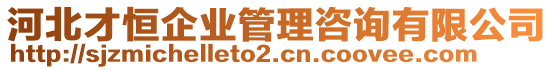 河北才恒企業(yè)管理咨詢有限公司