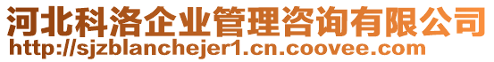 河北科洛企業(yè)管理咨詢有限公司