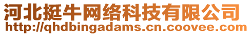 河北挺牛網(wǎng)絡(luò)科技有限公司