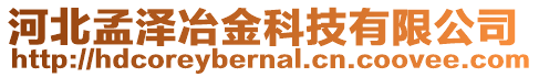 河北孟澤冶金科技有限公司