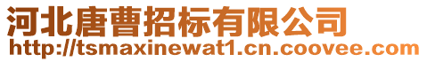 河北唐曹招標(biāo)有限公司