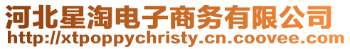 河北星淘電子商務有限公司