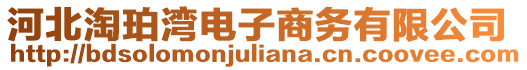 河北淘珀灣電子商務(wù)有限公司