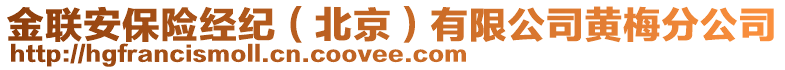 金聯(lián)安保險經(jīng)紀（北京）有限公司黃梅分公司