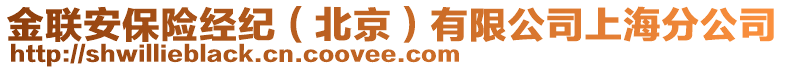 金聯(lián)安保險(xiǎn)經(jīng)紀(jì)（北京）有限公司上海分公司