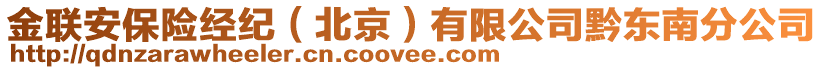 金聯(lián)安保險(xiǎn)經(jīng)紀(jì)（北京）有限公司黔東南分公司