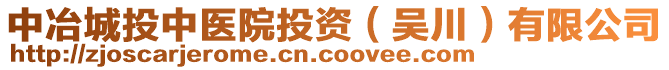 中冶城投中医院投资（吴川）有限公司