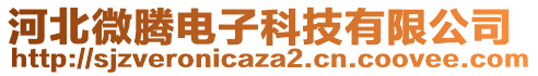 河北微騰電子科技有限公司