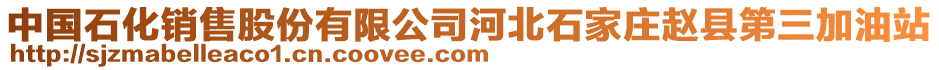 中国石化销售股份有限公司河北石家庄赵县第三加油站