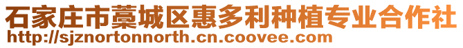 石家莊市藁城區(qū)惠多利種植專業(yè)合作社