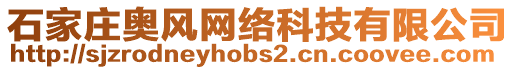 石家莊奧風(fēng)網(wǎng)絡(luò)科技有限公司