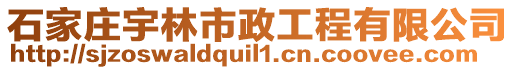 石家莊宇林市政工程有限公司