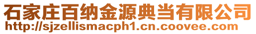 石家莊百納金源典當有限公司