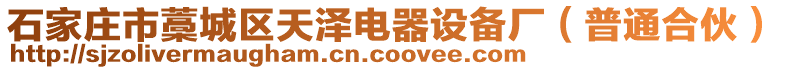 石家莊市藁城區(qū)天澤電器設(shè)備廠（普通合伙）