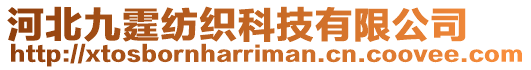 河北九霆紡織科技有限公司