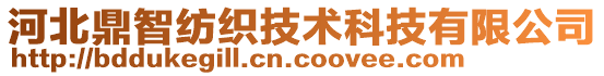 河北鼎智紡織技術(shù)科技有限公司