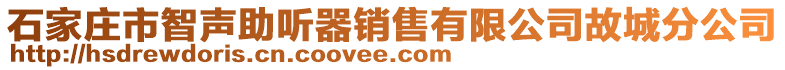 石家莊市智聲助聽器銷售有限公司故城分公司