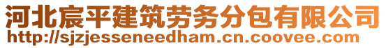 河北宸平建筑劳务分包有限公司