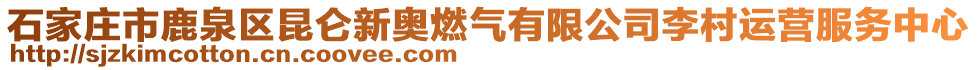 石家庄市鹿泉区昆仑新奥燃气有限公司李村运营服务中心