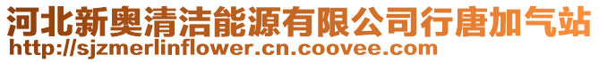 河北新奧清潔能源有限公司行唐加氣站