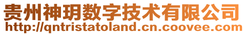 贵州神玥数字技术有限公司